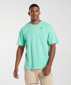 Gymshark Kadın Şort - Gymshark vazgeçilmez büyük beden tişört oksitlenmiş yeşil erkekler B26PXX595